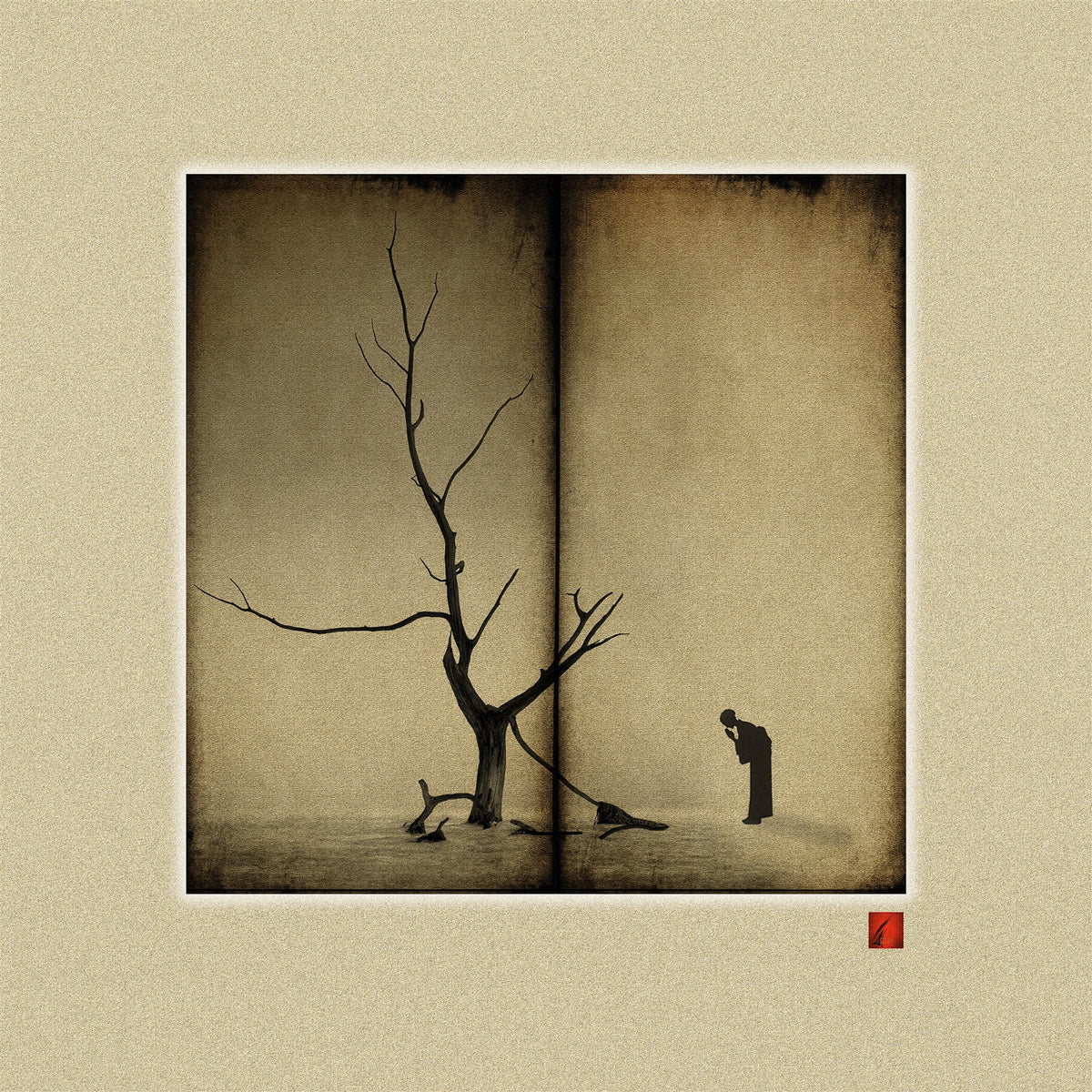 Silent Reflection | 静寂の省察