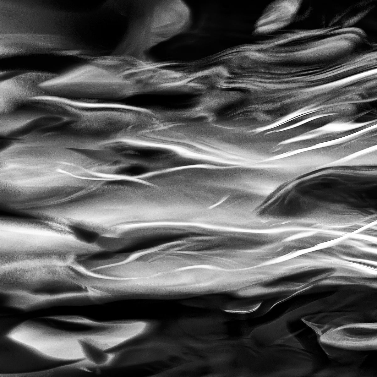 Wind Harvest | 風の収穫 — Aluminium Print
