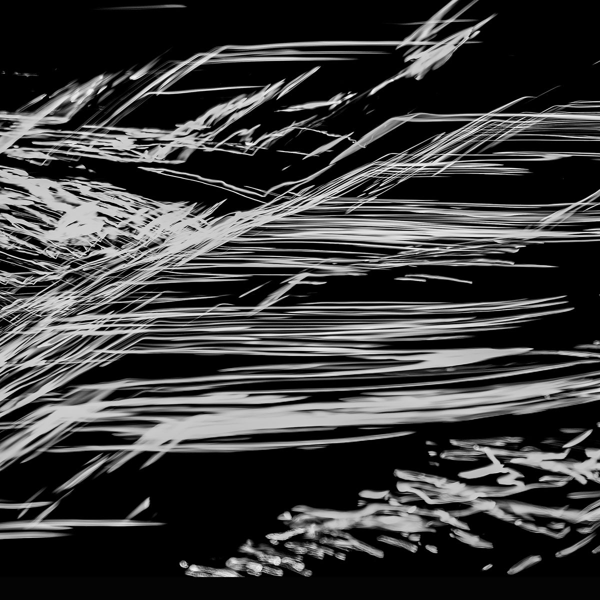 Reed Storm | 蔦の嵐 — Aluminium Print