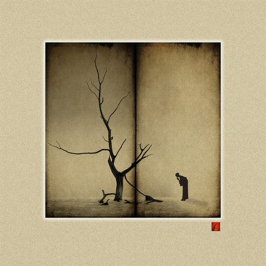 Silent Reflection | 静寂の省察