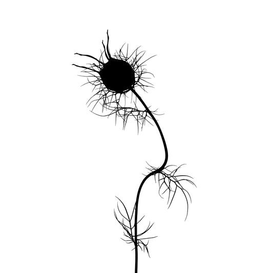 Wish Upon a Weed | Abstract Dandelion Dreams