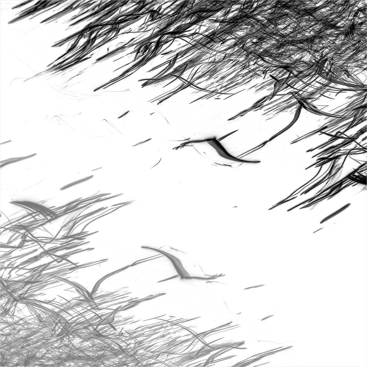 Shizukesa no Nami: Waves of Stillness | 静けさの波