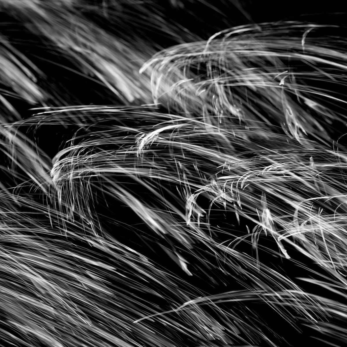 Drift | 澂流 — Aluminium Print