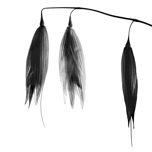 Hanging Around | Delicate Botanical Elegance