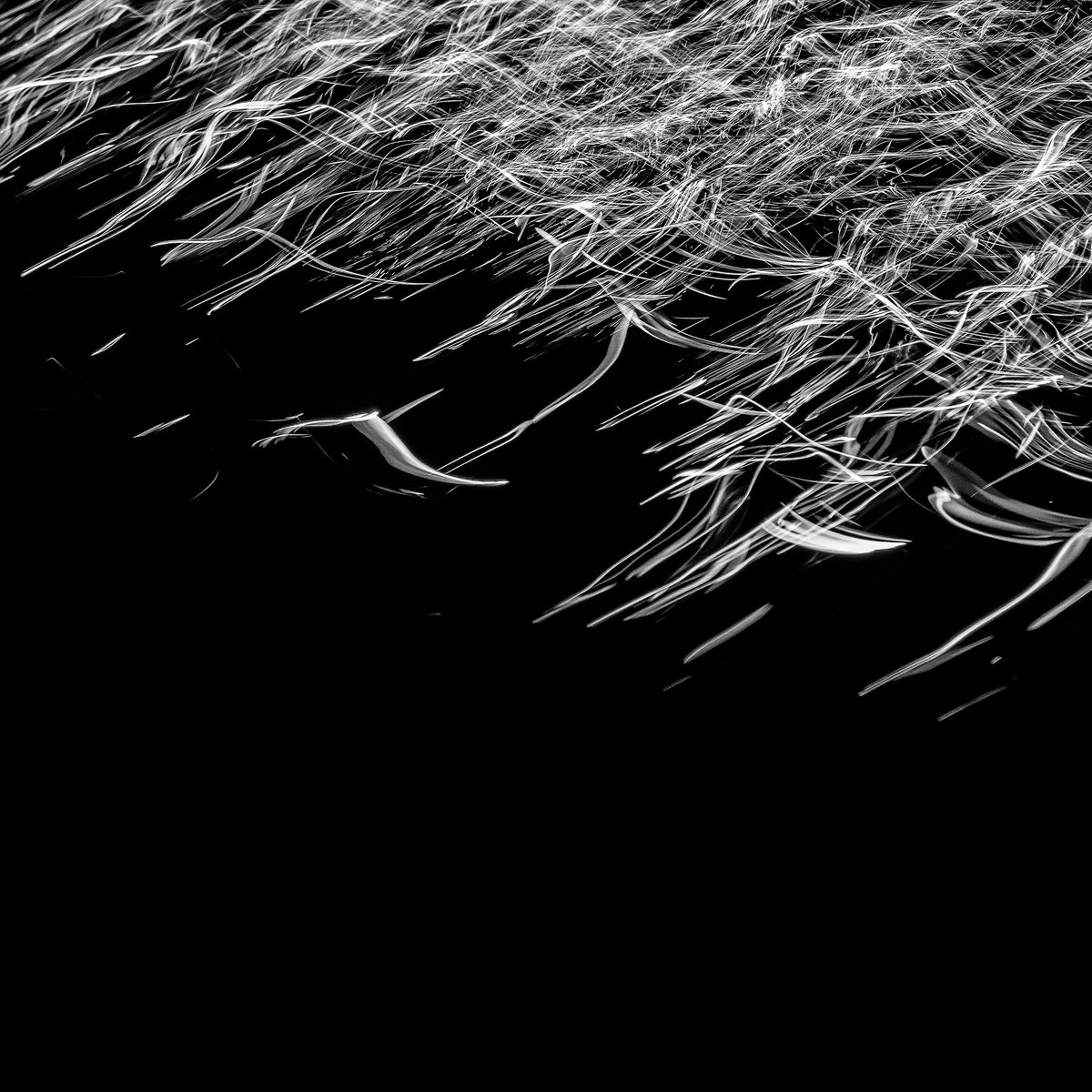 Luminous Cascade | 光の滝 — Aluminium Print