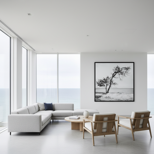 Commercial - Fūbō